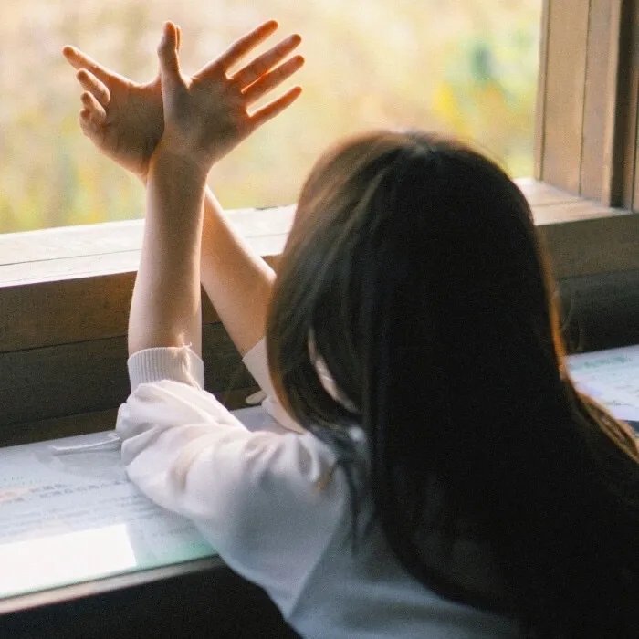 查理二世：权力和激情